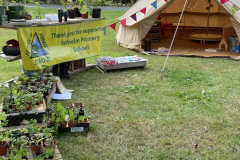 Plant-Sale to raise funds for a bird box camera for Yetholm Primary School