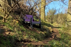 Harelaw Grounds Photograph 1