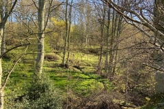Harelaw Grounds Photograph 2